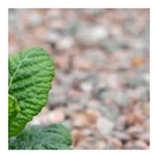 Tissu de contrôle des mauvaises herbes Multi Season Paysage paillis Membrane Coque 1.5 m x 1 m Drap.