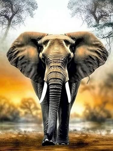 Bimkole DIY 5D Diamond Painting Zubehör Elefant, Herbst toter Baum Diamant Malerei Kit Voll Runde Bohrer Malen nach Zahlen Malerei Stickerei Kreuzstich Diamond Dekoration, (40x50 cm)