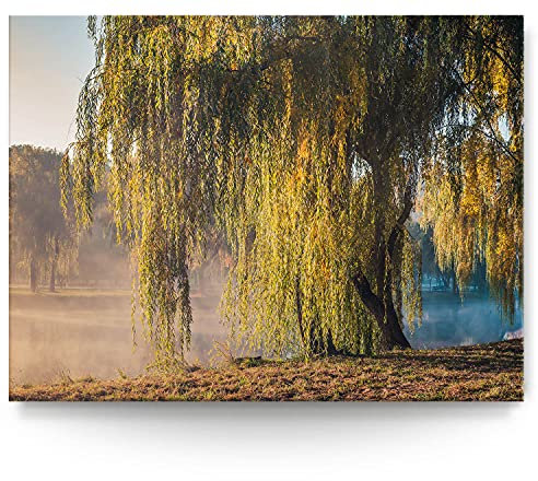 BilderKing Wandbild Trauerweide am Fluss - 200cm x 150cm Leinwand auf 4cm Keilrahmen