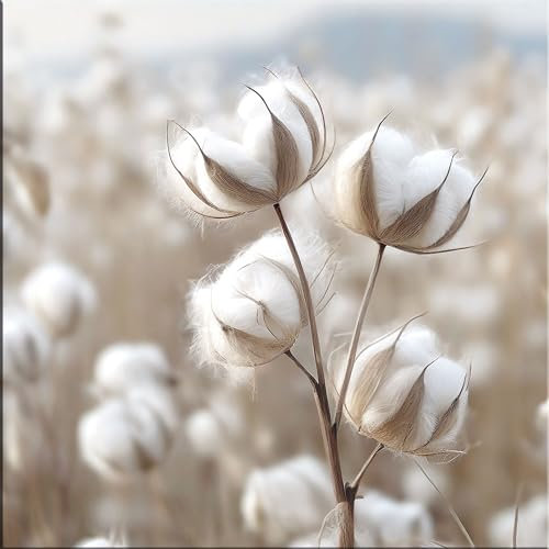 artissimo, Glasbild, 30x30cm, AG5507A, Natur: Blumen und Gräser II, Bild aus Glas, Wandbild Wohnzimmer modern, weiß beige, hell, Baumwolle