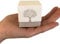 regalami.Shop 10 scatoline Albero mm. 50x50x50 per bomboniera e Party