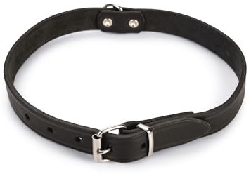 Karlie Halsband Rondo, genietet L: 57 cm B: 20 mm schwarz