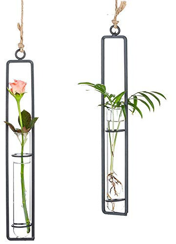 Sziqiqi Kreativer Glasvase aus Schmiedeeisen, Hängender Behälter für Wasserkultur, Hängende Flasche Reagenzglas für Blumen, Hängende Betriebsdekoration im Wohnzimmer Garten, Schwarz