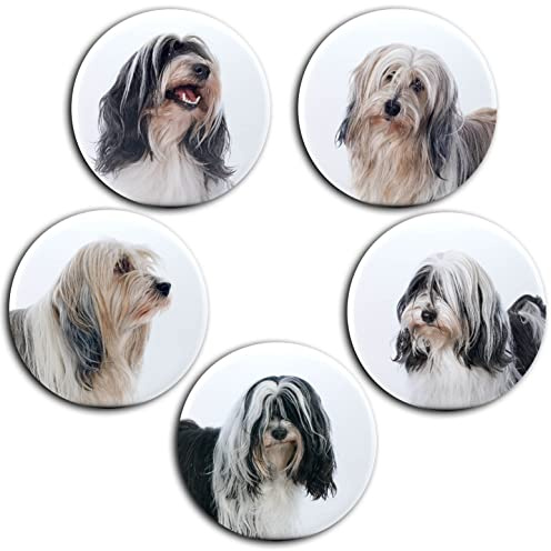 Tibet Terrier Hund - Porträt 5 runde Kühlschrankmagnete für Memoboard Pinnwand Magnettafel Whiteboard [ 01 ]