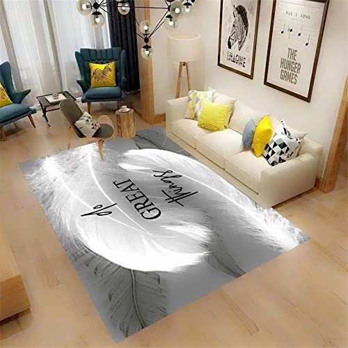Joop Teppich Teppich Wohnzimmer Grau Einfache Große Federn Moderne Teppiche Absorbieren Staub Waschbare Teppich 50X80Cm Teppiche Waschbar Grau 1Ft 7.7''X2Ft 7.5''
