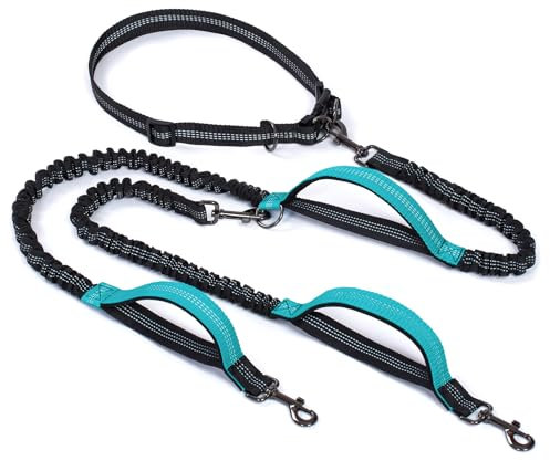 Snocyo Joggingleine Hunde, Doppelleine Hundeleine für Zwei Hunde, Elastische und Reflektierende Doppelte Leinen für Mittelgroße und Große Hunde, Einziehbare Leine mit Griffe & Taillengürtel