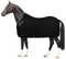 Horses, Fleece Pferdedecke, Basismodell, weich und bequem, ideal für Transport und Feierabend, Größe XS-120cm bis XXL-162cm, erhältlich (Schwarz-128 cm)
