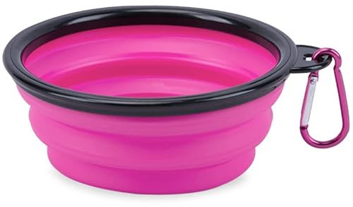 Small Collapsible Pet Feeding Bowl [Hot Pink]