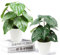 LuckyCao Artificial Plants Indoors in Pots,Set of 2 Fake Tropical Areca Palm Tree Plants with White plastic Planter Faux Plant 26cm Plastic Plants Decorative for Desk Shelf Office Room Decoration