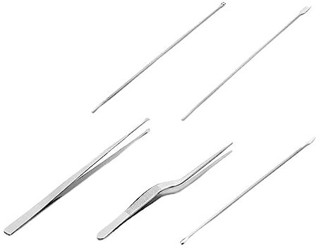 FONDOTIN 5stücke Teiliges Ohrenschmalz Entferner Edelstahl Ohrreiniger Werkzeug Tragbar Leichtgewicht Für Zuhause Und Reise Geschenk Für Familie Und Freunde