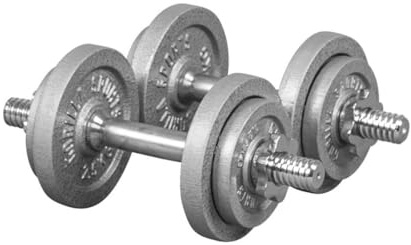 GORILLA SPORTS® Kurzhanteln 20 kg, 2er Set, Gusseisen Hantelscheiben | 30 mm, mit 2 Kurzhantelstangen, 4 Sternverschlüssen, 4 x 1,25 kg und 4 x 2,5 kg Gewichten; Griff gerändelt, Krafttraining