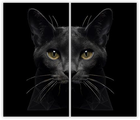 SMTDeco Herdabdeckplatte Ceranfeld Abdeckplatte Herdabdeckung Herdplatten Abdeckungen Induktionskochfeld 2 x 30x52 cm 2-tlg. Katze Schwarz