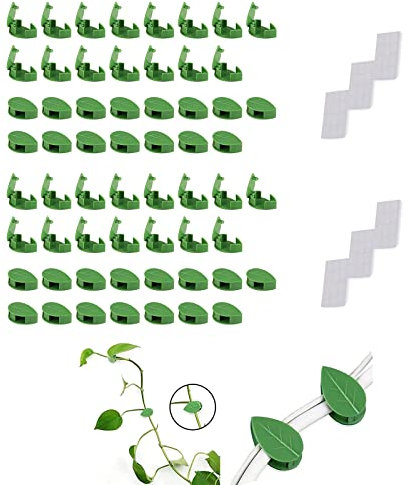 60 Stück Kletterpflanzen Clip pflanzen wandclips für pflanzen pflanzenclips wand grün pflanzenclips wand saugnapf wandclips Selbstklebend Kleben Für Heimdekoration,kabelbefestigung Organizer