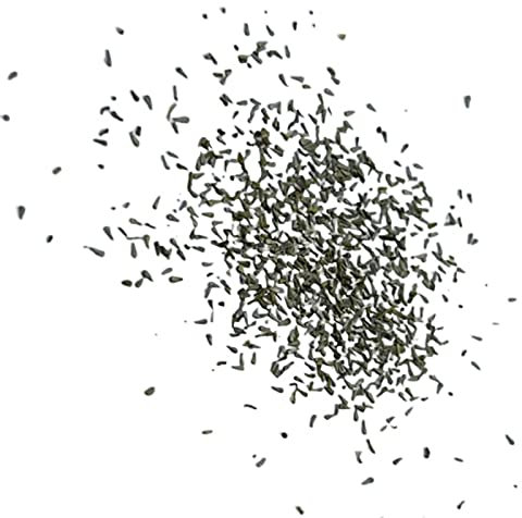 Luojuny Graines de Chrysanthème, 1 Sac 200/500/1000Pcs Graines de Chrysanthème Croissance Rapide Cinq Couleurs Graines de Fleurs en Pot Outil de Plantation de Fleurs pour Le Jardinage B