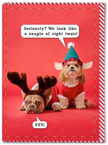Brainbox Candy - Unhöfliche Weihnachtskarte – Look Like Twats – freche Weihnachtskarten – lustige saisonale Humor-Karten – unhöfliche Weihnachtskarte mit Hundemotiv – freche Hunde-Weihnachtskarte –