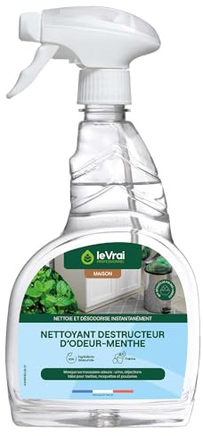 LE VRAI PROFESSIONNEL - Nettoyant Destructeur d'Odeur Menthe - Multi-Surfaces - Élimine Odeurs Tenaces - Fabrication Française - Pulvérisateur 750 ml