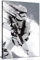 Panther Print Kunstdruck auf Leinwand, Motiv: Star Wars Stormtrooper-Portrait, 61 x 40,6 cm, Schwarz/Weiß
