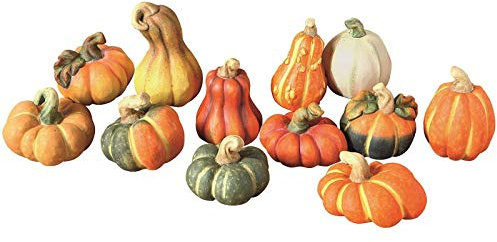 SIDCO Halloween 12 Kürbis Terrakotta Dekoration Tischdeko Herbst Deko Kürbisse