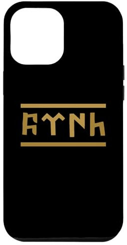 Hülle für iPhone 12 Pro Max TÜRK Schrift - Bozkurt - Göktürk - Göktürkce TÜRK (türkisch)