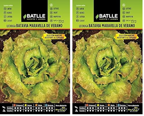 Semillas Batlle Lechuga Marv. Verano MARESME (Paquete de 2)