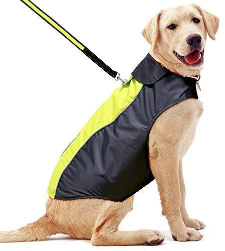 YFbrite Waterproof Dog Coat - Lightweight Pet Raincoat | Adjustable Warm Jacket | Dog Cloth for All Breeds Sizes (Green, Medium)