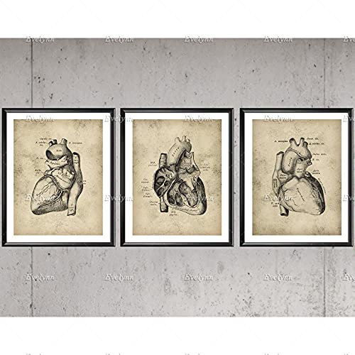 Yimesoy Nordic Vintage Herz Anatomie Poster Kardiologie Modulares Bild Medizinische Kunst Wand Dekor Klinik Dekor Zahnarzt Geschenk Arzt Büro Dekor 12X16X3Panels