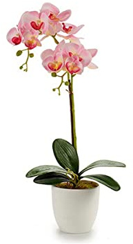 Gift Decor Töpfe für Blumen und Pflanzen