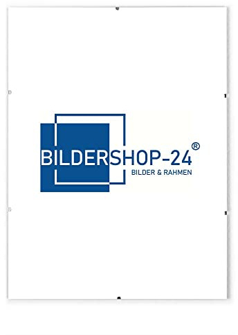 Bildershop-24 10x Rahmenloser Bilderrahmen Bildhalter Cliprahmen 59,4x84cm (DIN A1) Acrylglas
