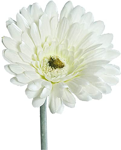 matches21 Gerbera Kunstblume für Blumengestecke künstliche Blume Blüten Kunststoff 1 STK Ø 10x56 cm - cremefarben