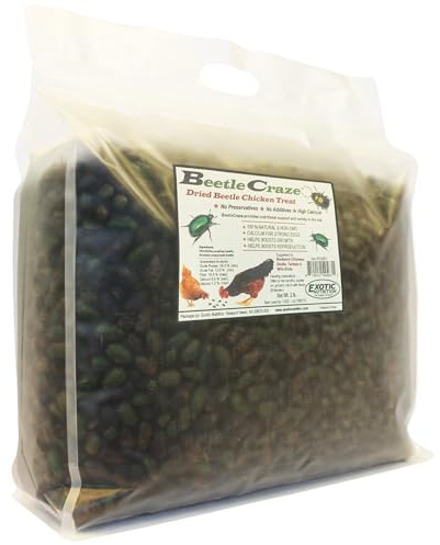 Exotic Nutrition 2 LB Beetle Craze Chicken Feed | High Protein Dried Beetles | Better Than Mealworms