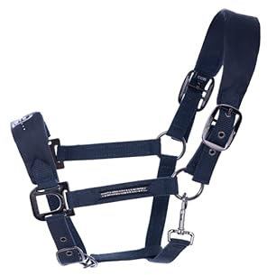 Cavallo HALLONA Halfter darkblue Horsefashion 2022, Größe:GP