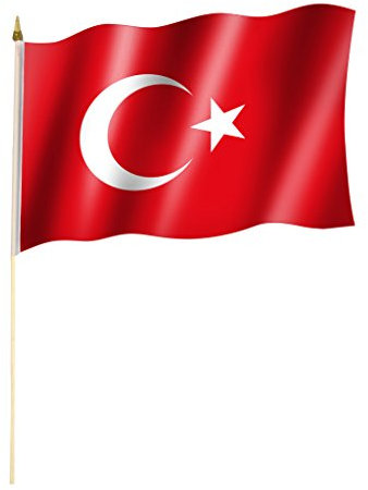 Stockflagge/Stockfahne TÜRKEI Flagge/Fahne ca. 30 x 45 cm mit ca. 60cm Stab/Stock