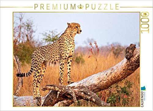 CALVENDO Puzzle Wilder Gepard auf Baum | 1000 Teile Lege-Größe 64 x 48 cm Foto-Puzzle für glückliche Stunden