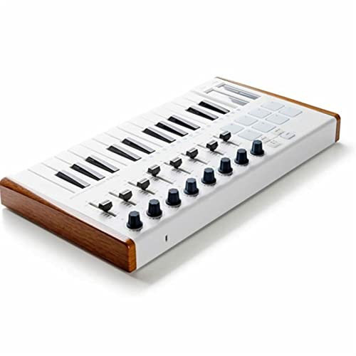 25 Keys USB MIDI Keyboard Controller 8 RGB Backlit DJ Pianos Electronic Keyboard