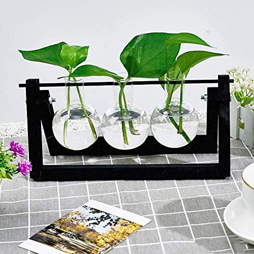 Aquarium Kit Hydroponic Vase with Hanging Glass Pot, Hydroponic Plant Terrarium Vase for Home Office (Black, 3 Pots)