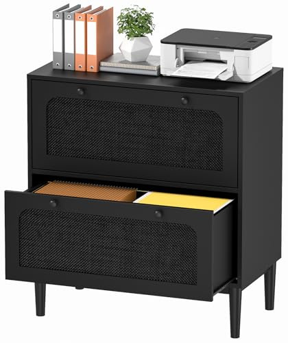 Skokliz Aktenschrank mit 2 Schubladenund, Schreibtisch Schrank für DIN A4 Letter Format, Druckerständer Büroschrank für Arbeitszimmer, Büro und HomeOffice Schubladenschrank, Schwarz