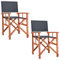 Casaria® Gartenstuhl 2er Set Holz Klappbar Wetterfest 320kg Belastbar Armlehne Bezug Klappstuhl Cannes FSC® Eukalyptus Garten Balkon Camping Anthrazit
