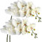 Fiori artificiali, ramo di orchidee, Falenopsis artificiale, orchidea decorativa, fiori bianchi, effetto realistico, con 9 fiori, 2 pezzi
