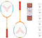 VICTOR Training Set mit Balldose, 2 Schläger (ca. 58 cm) + eine 6er Balldose