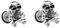 BESTYASH 2 Pcs Unique Skull Earrings for Men Women Titanium Steel Earring Fashion Jewelry Bone Design