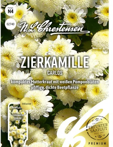 Zierkamille Carlos, kompaktes Mutterkraut mit weißen Pomponblüten, Samen