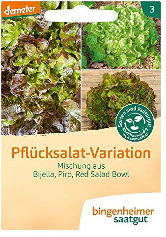Bingenheimer Saatgut Pflücksalat Variation demeter bio für ca. 120 Pflanzen