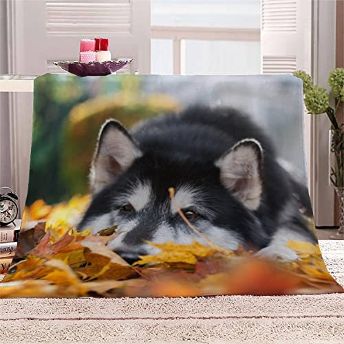 Aolity Babydecke 70x100 cm Schwarz-weißer Hund Kuscheldecke Baby Personalisiert Flanell Decke 3D Druck Flauschige Decke Tier Hund Reisedecke Kuschelige Wohndecke Sofadecke