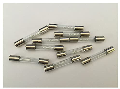PWQBABJWL Fusibles 10PCS 5KV 0.8A 800mA Horno de microondas Fusibles de Alto Voltaje