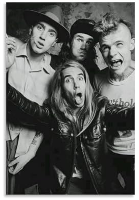 Red Hot Chili Peppers Poster, Charakter-Cover, Poster, Wandposter, Sänger und Schauspieler, Kunstdruck, ästhetisches Wandbild, ästhetische Leinwand, moderne Wohnzimmer-Schlafzimmer, Dekoration, 30 x