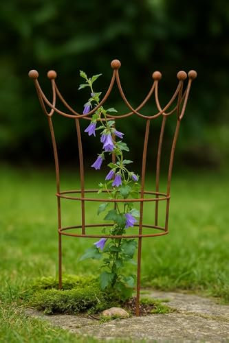 Der-Porzellan-Laden Edelrost Krone Staudenstütze, dekorative Pflanzenstütze aus Metall, nostalgisches Design, wetterfest, bepflanzbar, 60 x 50 cm, ideal für Garten & Terrasse