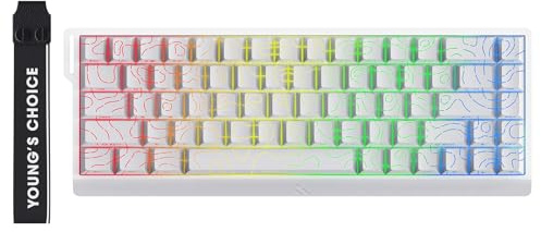 MCHOSE ACE 68 60% mechanische Gaming-Tastatur, kabelgebunden, Rapid Trigger Hall-Effekt, Magnetschalter, hyperschnelle, einstellbare Betätigung, 8000Hz, Hot Swap RGB PC Mac Laptop (Weiß Topographisch