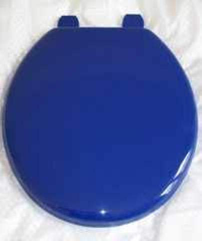 RTS Atlantic Marine Blue Tecnoplast Toilet Seat with Matching Hinge