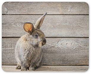 Destination Vinyl Ltd Gorgeous Rabbit Mouse Mat Pad - Grey Brown Bunny Fun Cute PC Computer #8390