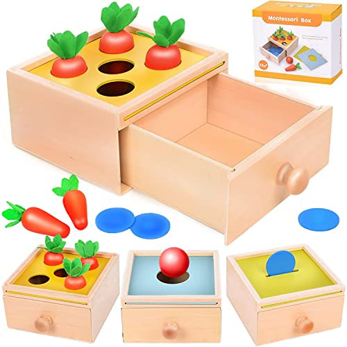 colmanda Holzspielzeug ab 1 Jahr, Montessori Münzbox aus Holz, Form Sortieren Gemüse & Obst Feinmotorik Skill Spielzeug Geschenk für Kleinkinder 1-4, Geschenke für Kinder zu Halloween, Weihnachten